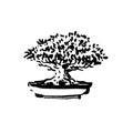 Japanese old bonsai tree in pot hand drawn logo Royalty Free Stock Photo