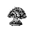 Japanese old bonsai tree in pot hand drawn logo Royalty Free Stock Photo