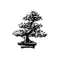 Japanese old bonsai tree in pot hand drawn logo Royalty Free Stock Photo