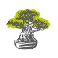 Japanese old bonsai tree in pot hand drawn logo Royalty Free Stock Photo