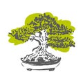 Japanese old bonsai tree in pot hand drawn logo Royalty Free Stock Photo