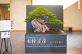 Japanese Omiya bonsai museum in bonsai vilage