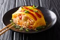 Japanese omurice omelette with rice, chicken and vegetables close-up. horizontal Royalty Free Stock Photo
