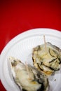 Japanese oyster at Miyajima Island Royalty Free Stock Photo