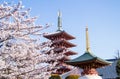 Japanese pagoda Royalty Free Stock Photo