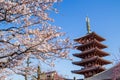 Japanese pagoda Royalty Free Stock Photo