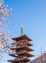 Japanese pagoda Royalty Free Stock Photo