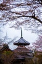 Japanese Pagoda with Sakura at Yoshino Mountain