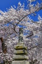 Japanese Pagoda - Washington, DC