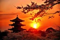 Japanese Pagoda Sunset Cherry Blossoms Royalty Free Stock Photo