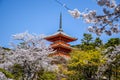 Japanese pagoda surrounded by cherry blossoms in Kyoto, Japan Royalty Free Stock Photo