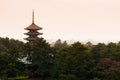 Japanese pagoda, Toji pagoda in Nara