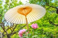 Japanese paper umbrella Royalty Free Stock Photo