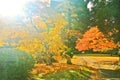 Japanese park in autumn in Tokyo, Japan.