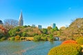 Japanese park in autumn in Tokyo, Japan.