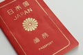 Japanese passport (1990s)