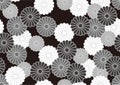 Vector Japanese Auspicious Monochrome Seamless Vintage Chrysanthemum Pattern. Horizontally And Vertically Repeatable.