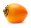 Japanese persimmon