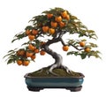 Japanese persimmon tree bonsai. AI-generated