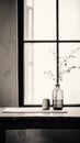 Japanese Photography: A Whimsical Vase By The Window