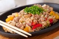 Japanese pilaf Royalty Free Stock Photo