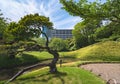 Japanese pine and pond in the Koishikawa Korakuen Park.