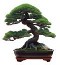 Japanese pine tree bonsai. AI-generated