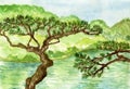 Japanese pine tree on the shore of the pond, traditional garden of Japan, watercolor hand painted illustration