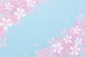 Japanese cherry blossom abstract on vintage blue paper background Royalty Free Stock Photo