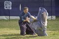 Japanese playing martial arts in a park in Tokyo