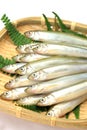 Japanese pond smelt Royalty Free Stock Photo