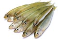 Japanese pond smelt Royalty Free Stock Photo