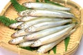 Japanese pond smelt Royalty Free Stock Photo