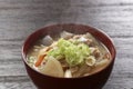 Japanese pork soup