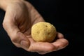 Japanese potato shaped dango