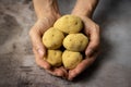 Japanese potato shaped dango