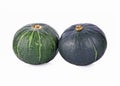 Japanese pumpkin green on white background