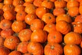 Japanese pumpkin Royalty Free Stock Photo