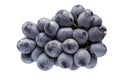 Japanese purple grape isolated #2 Royalty Free Stock Photo