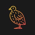 Japanese quail gradient vector icon for dark theme