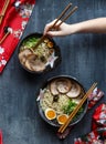 Japanese ramen soup with pork, egg and chives Royalty Free Stock Photo