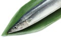 Japanese raw saury fish isolated 2 Royalty Free Stock Photo