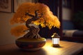 Japanese red bonsai tree art display on the black wooden table with grey wall decoration in luxury hotel room Royalty Free Stock Photo