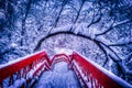 Japanese red bridge with snow in the pond during winter Royalty Free Stock Photo
