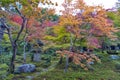 Japanese red maple tree during autumn in garden at Enkoji temple in Kyoto, Japan Royalty Free Stock Photo