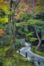 Japanese red maple tree during autumn in garden at Enkoji temple in Kyoto, Japan Royalty Free Stock Photo