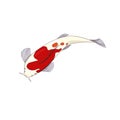 Japanese red spotted fish Koi or brocaded carp in Cartoon style, vector stock illustration on white isolated background, concept Royalty Free Stock Photo