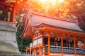 Japanese Red Temple in Kyoto - Fushimi Inari Taisha Shrine Royalty Free Stock Photo