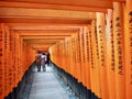 Japanese Shrine Torii Gates. Royalty Free Stock Photo