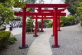 Japanese red wooden torii gates Royalty Free Stock Photo